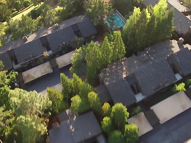 Dee Williams - Busty MILF of the month for June