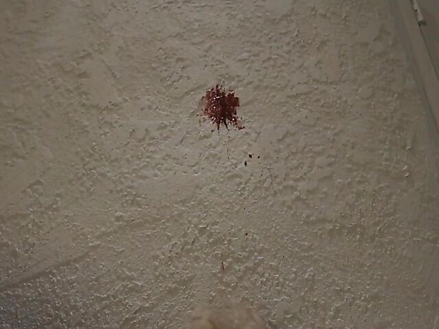 Charly Summer and Ryan Driller's hot sex scene from Hysteria