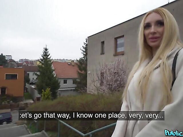 Long-haired Anita Blanche fucking for money POV style