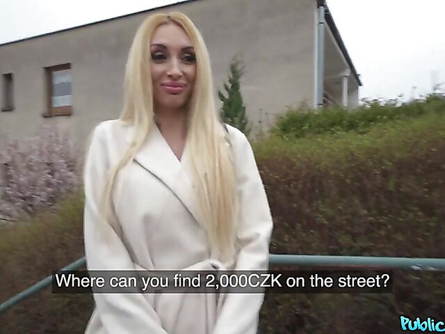 Long-haired Anita Blanche fucking for money POV style