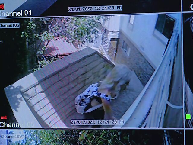 Britt Blair and Ember Snow lesbian trib and lick