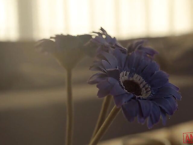 Lana Fever - MILF interracial anal in maid uniform