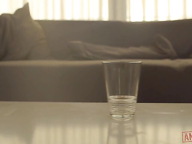 Lana Fever - Playful interracial maid POV style