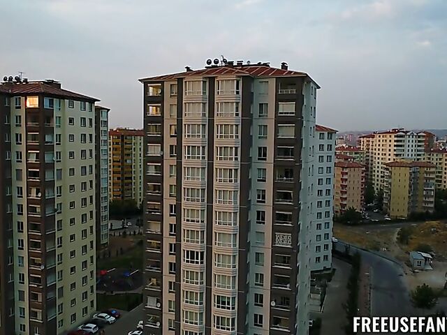 Freeuse office fuck with Willow Ryder, Charley Hart and Penelope Kay