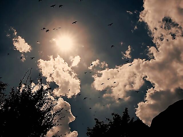 Hot blondes Ivy Wolfe loves hot sex and can't get enough