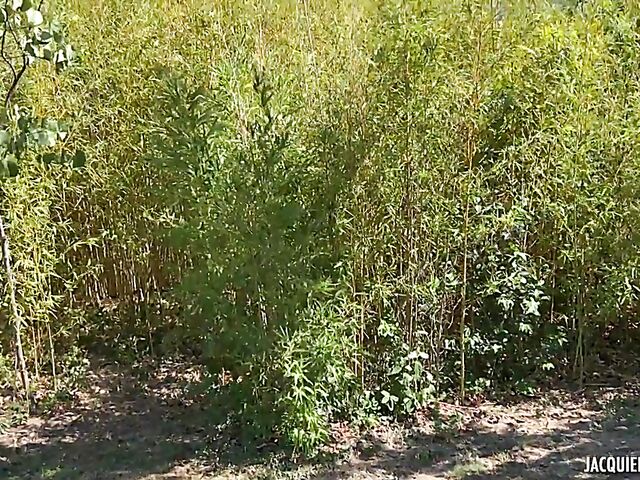 French redhead MILF outdoor fucked featuring 35-year-old Sally from Montauban