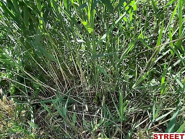 Naughty asian car sex POV style featuring May Thai