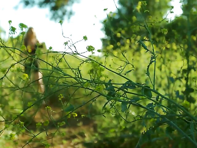 Alix Lynx & Coco Lovelock - Lesbian milf and teen go wild