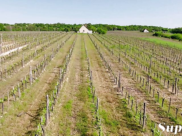 Outdoor solo picnic naked with red lip babe Any Moloko