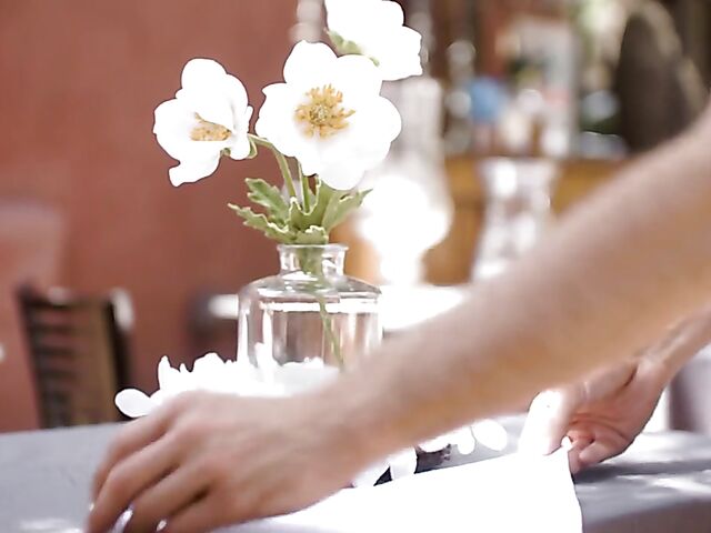 Alexia Anders and Aria Lee's girl on girl sex scene