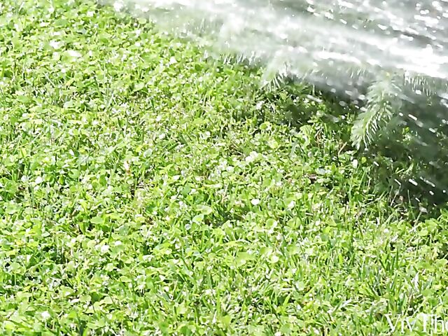 Outdoor lesbian pleasure in the garden with Jo and Vicky Love