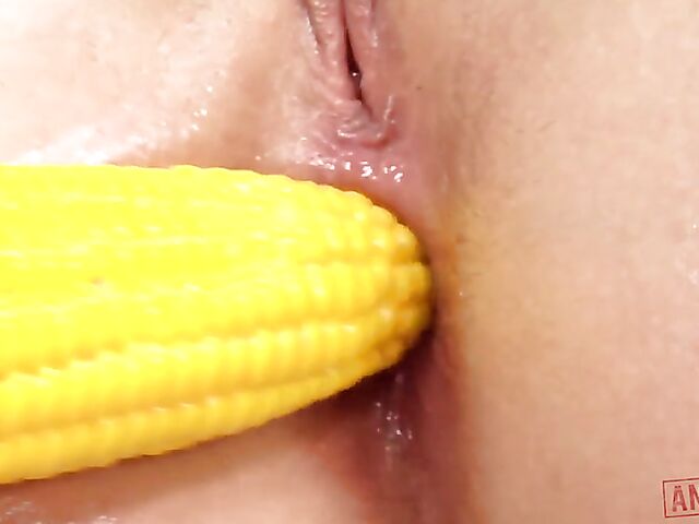 Classy brunette solo anal with toys featuring Tina