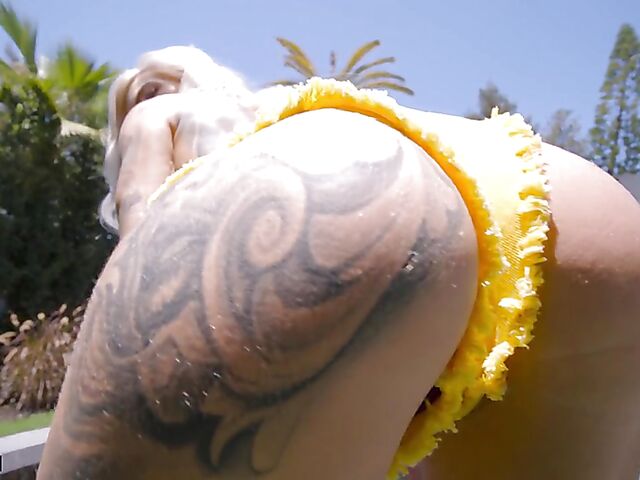 Chantal Danielle - Tattooed blonde with fake big tits interracial fucked by a black cock