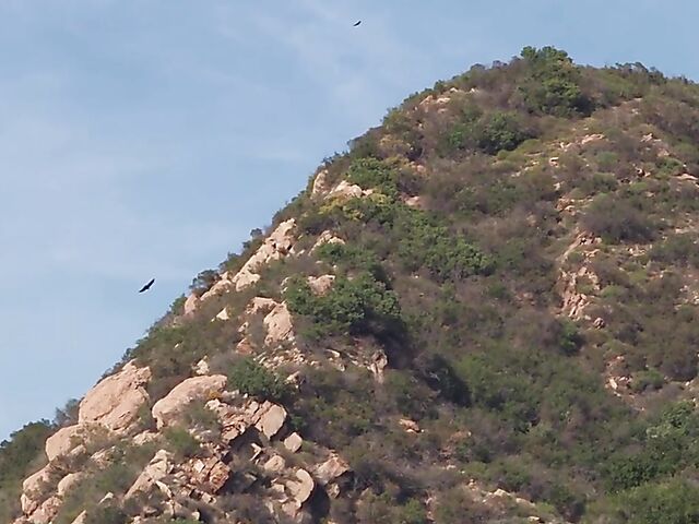 Hazel Grace - Graceful ebony masturbating outdoors in a pickup truck