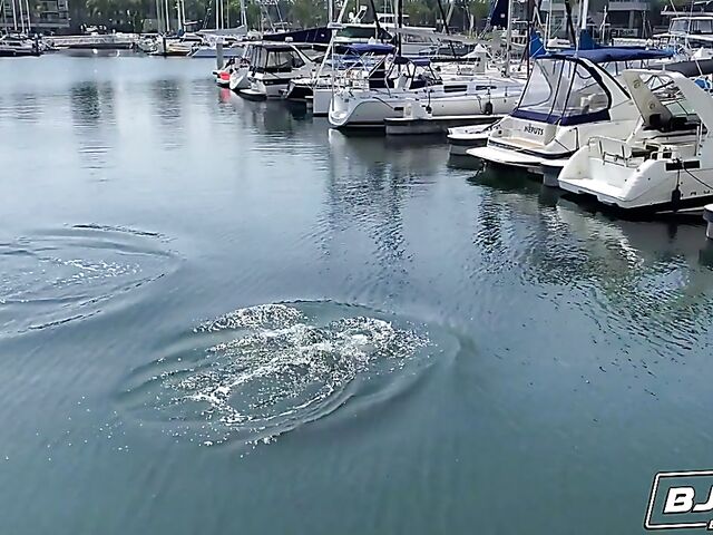 Putting Mimi Monet's oral sex skills to the test