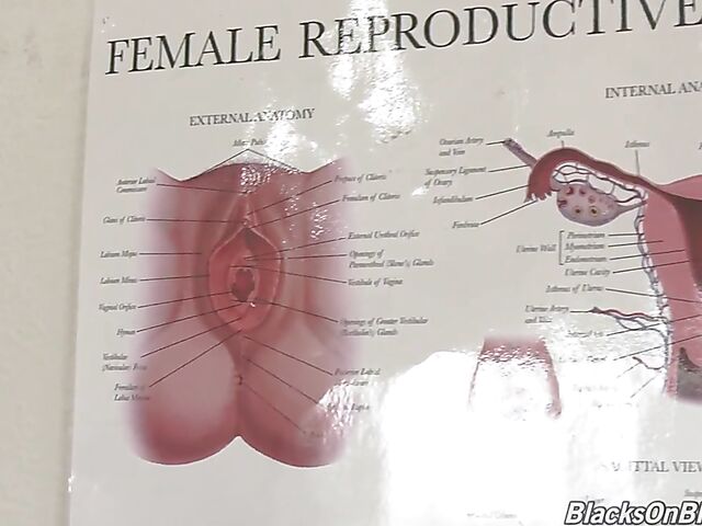 Interracial gyno fuck with horny Kylie Quinn who loves that big black cock