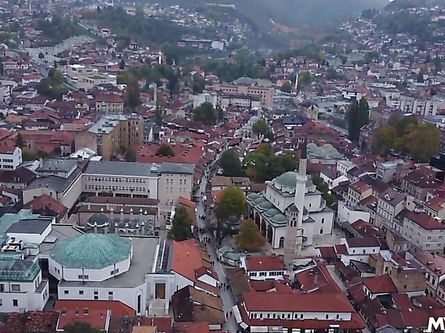 Psychic services of hot MILF Bunny Madison who uses her cards and her sexy pussy