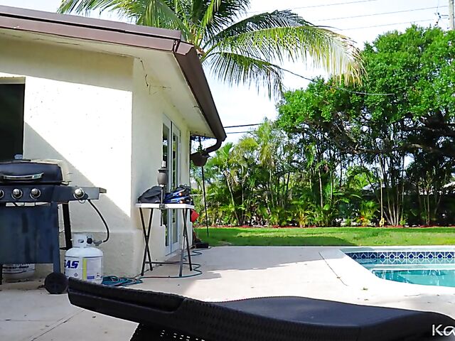 Naughty ebony babe Alina Ali seduces white pool boy