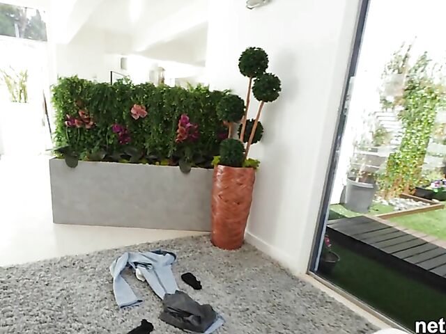 Exotic Addis Fouché with pierced nipples gets creampied