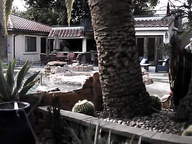 All natural brunette Aften Opal can't stop fucking that exotic cock