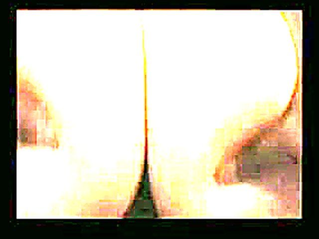 White babe sucks and fucks a black cock