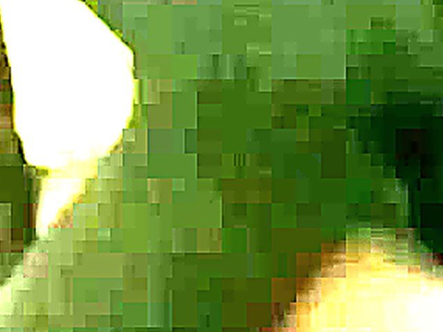 Horny husband films his sexy wife getting fucked