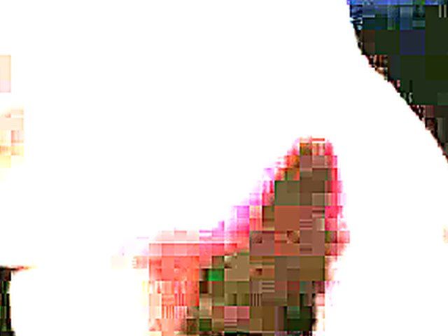 Chubby girlfriend sucks cock, and swallows cum