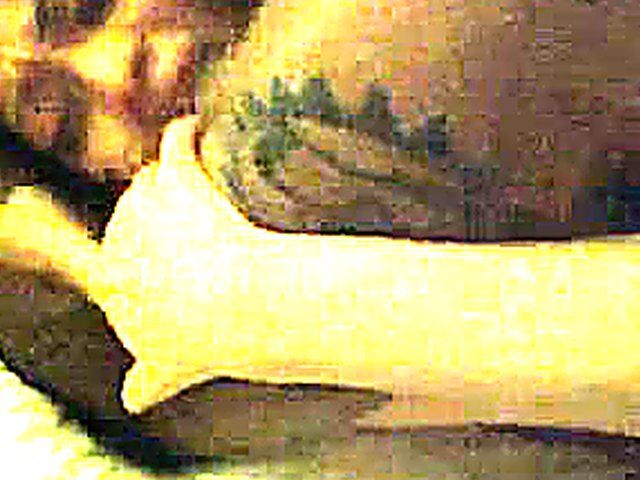 Asian wife fucks a big black dick