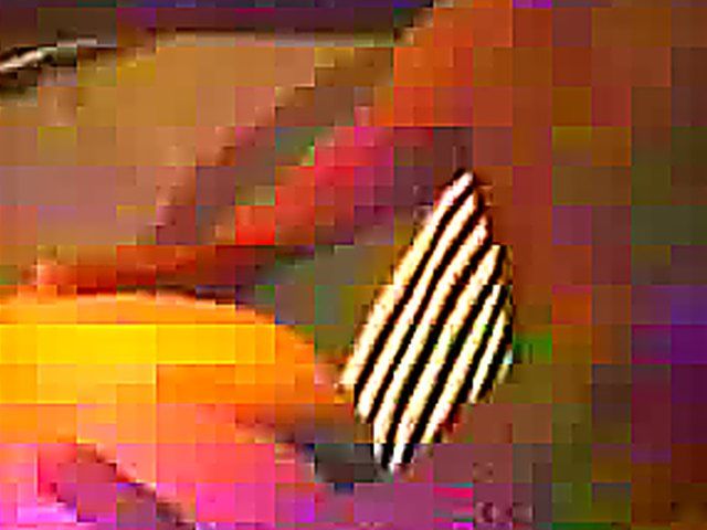 Wild black and white swingers fuckfest party