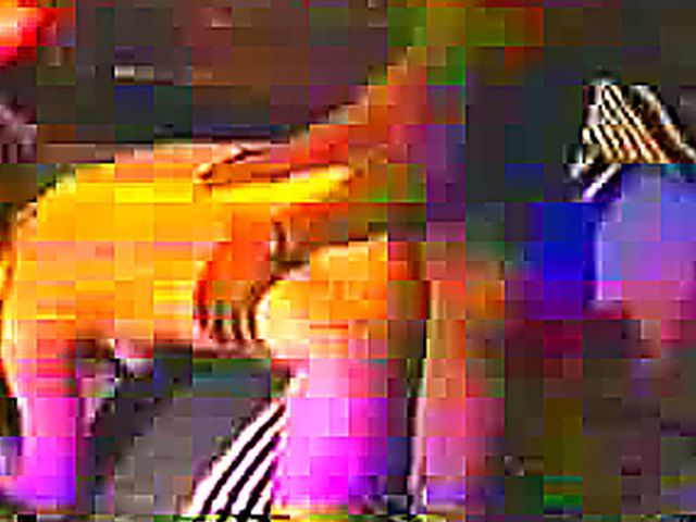 Wild black and white swingers fuckfest party