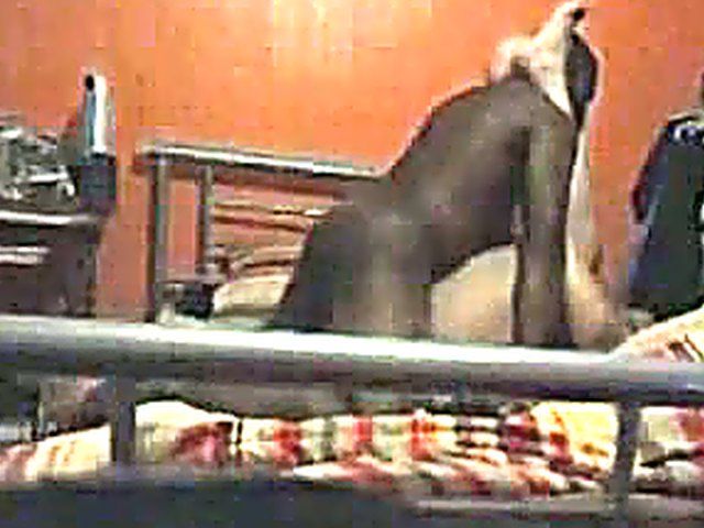 Naughty wife gets caught fucking a black cock