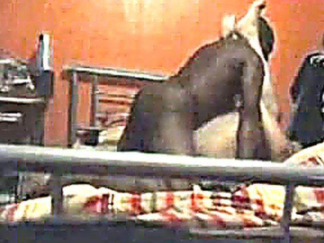 Naughty wife gets caught fucking a black cock