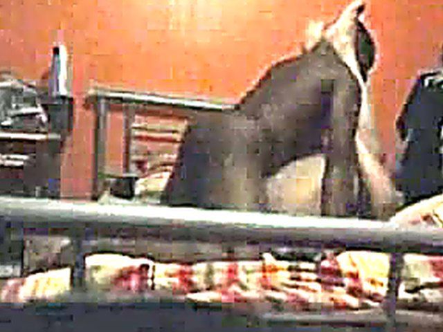 Naughty wife gets caught fucking a black cock