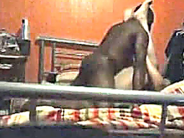 Naughty wife gets caught fucking a black cock