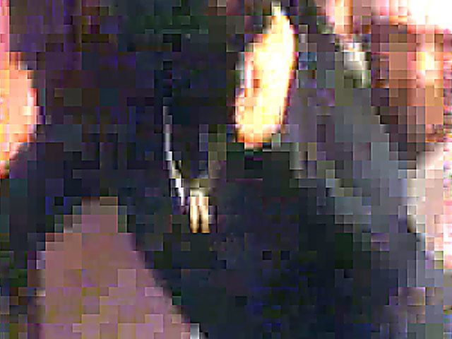 Arab woman gets fucked by a stranger