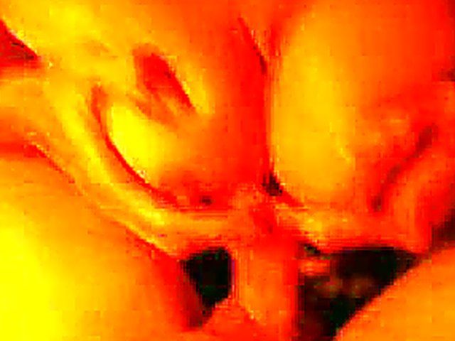 Beautiful babe sucks cock until it cums