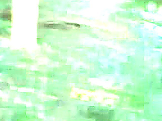 Blonde cyclist gets fucked by a stranger