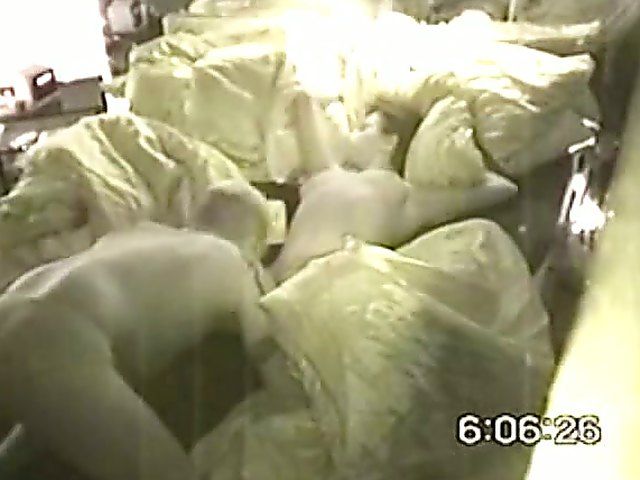 Horny couple caught fucking on camera