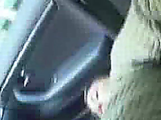 Pretty collage babe sucks cock until it cums