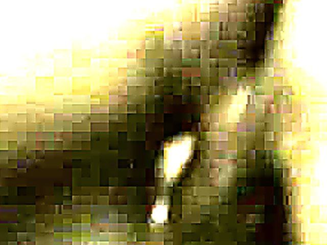 Big black dick fucks hot white pussy