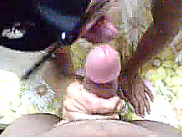 Sexy cat woman goes wild