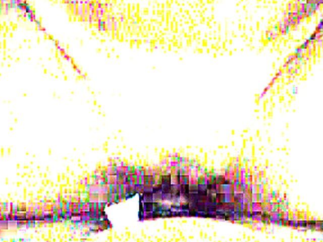 Sexy cat woman goes wild