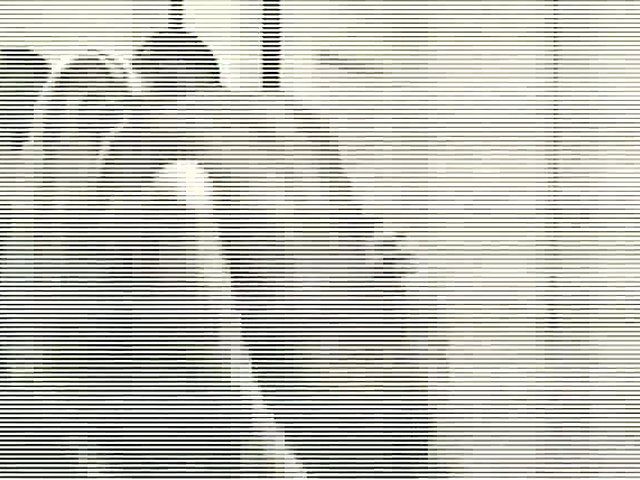 Blonde wife has sex with a black man