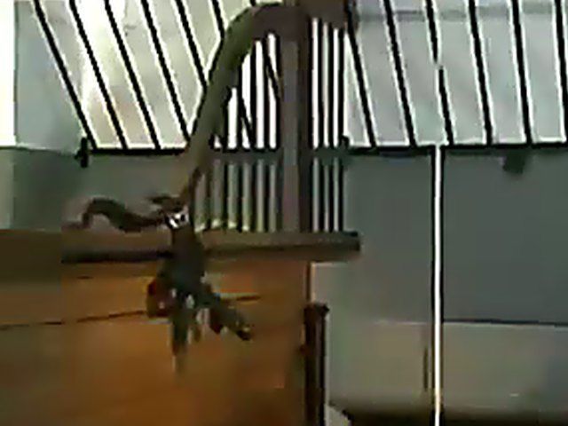 Sexy girls love living out their horny fantasies