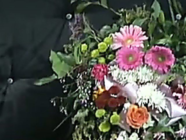 Stunning chicks love getting fucked by big dicks