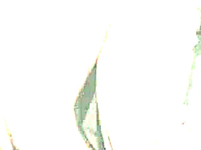 Hot Asian slut gets fucked in the toilet