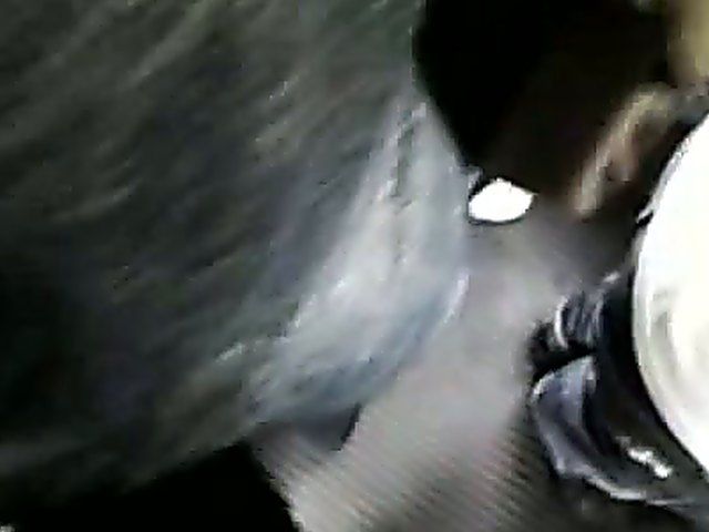 Hot babe strokes a dick inside a car