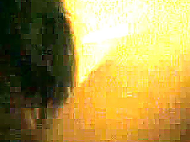 Stunning brunette gets filmed sucking and fucking dick