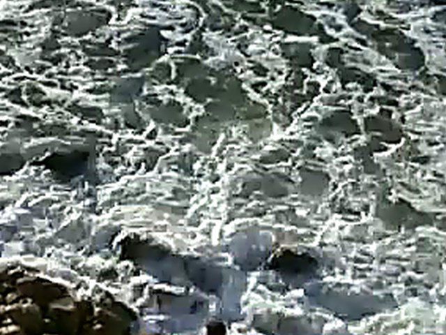 Horny couple have sex outdoors on the beach