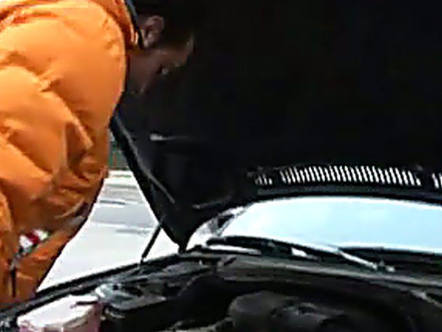 Stunning brunette sucks and rides a small dick